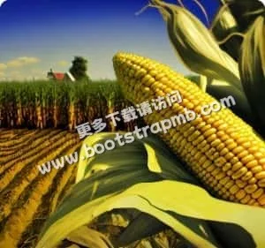 畅享竞技，就在多多28 - 多多28chengyunhao